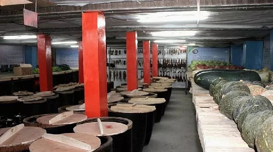 看了疫情时期冰箱的真实照网友还是兵哥哥的菜窖最硬核