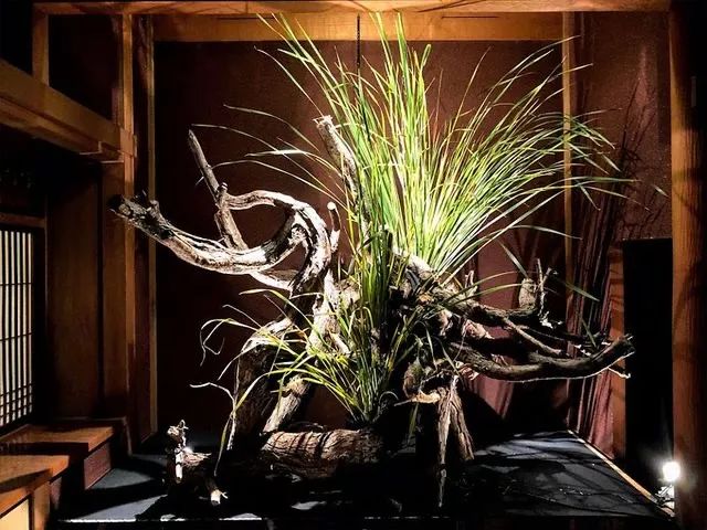 石原里美变身花道家追剧高岭之花海量作品图带你看嗨