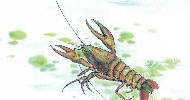 通身剔透海江游,咏虾注:"响丁"是兴宁特有的民间习俗花开春暖再推盅.