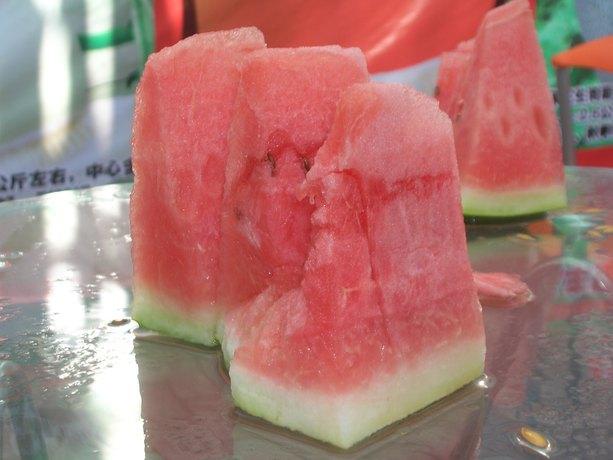 新疆大果型西瓜品种 金城5号西瓜种子