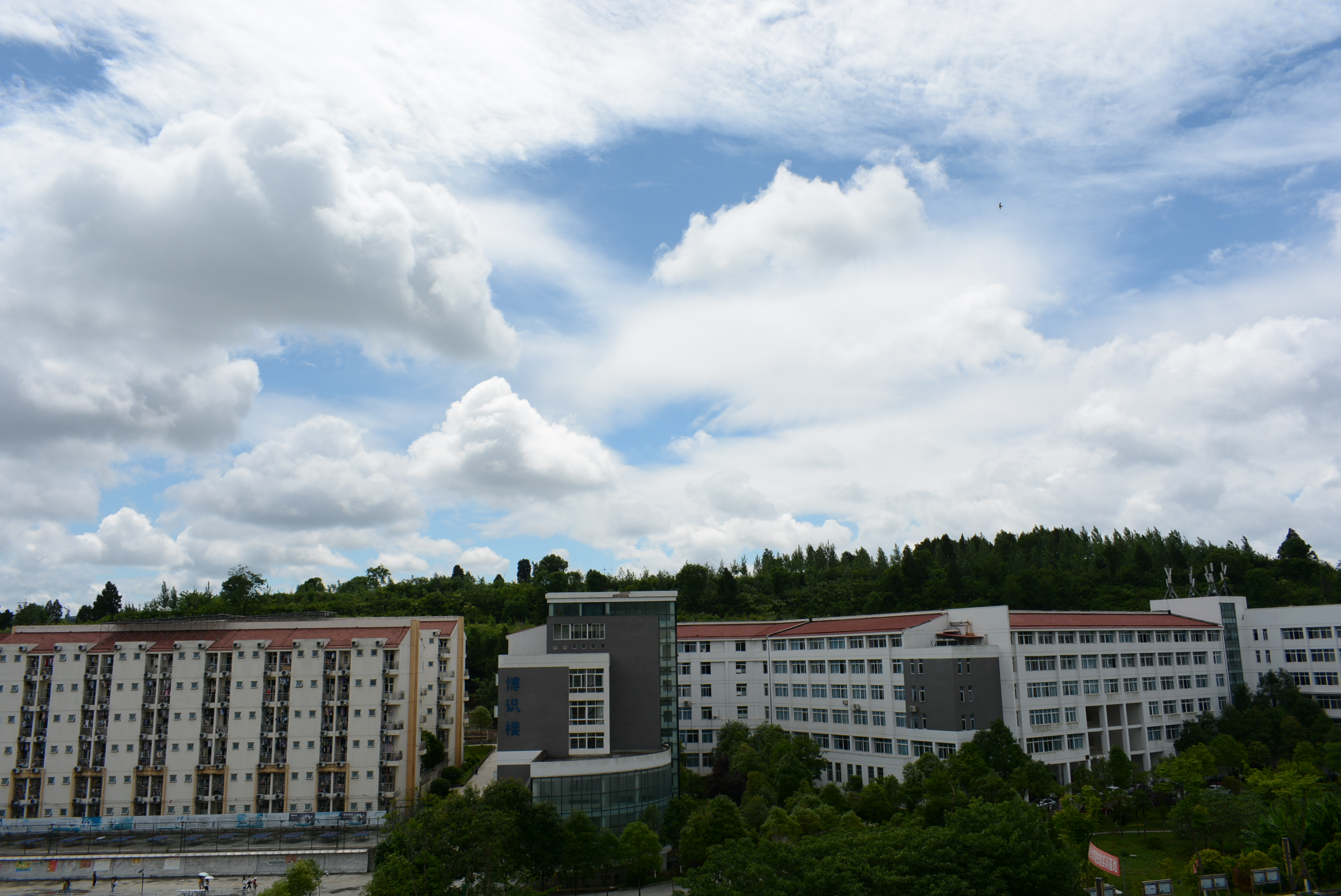 西南科技大学鸟瞰图图片