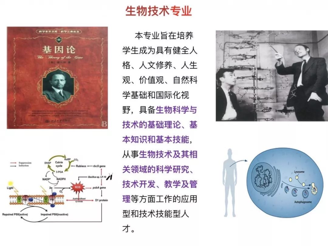 "系"说 | 生物科学系的成长史