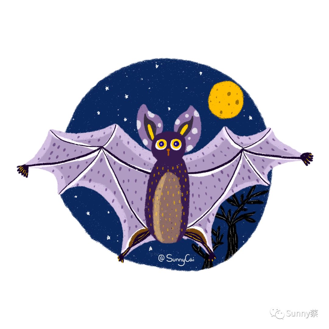 epnfx插画师sunnycaii保护它们就是保护我们自己