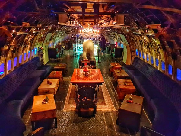 泰美了!泰国将一架飞机改造成奢华的餐厅,还有逼真的动物标本