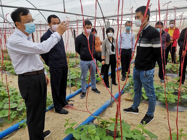 乐东统筹防疫与春耕 全力抗疫情保生产保增收_吴川祝