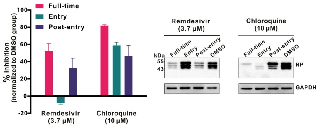磷酸氯喹结构式磷酸氯喹为氯喹(chloroquine)的磷酸盐,是一种颗疟