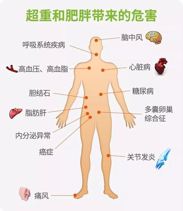 肥胖者是新冠肺炎的易感高危人群,更容易进入危重?  怎么自救?