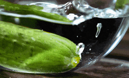 腌黄瓜翠绿不出水发现之前的黄瓜都白吃了上桌被抢光