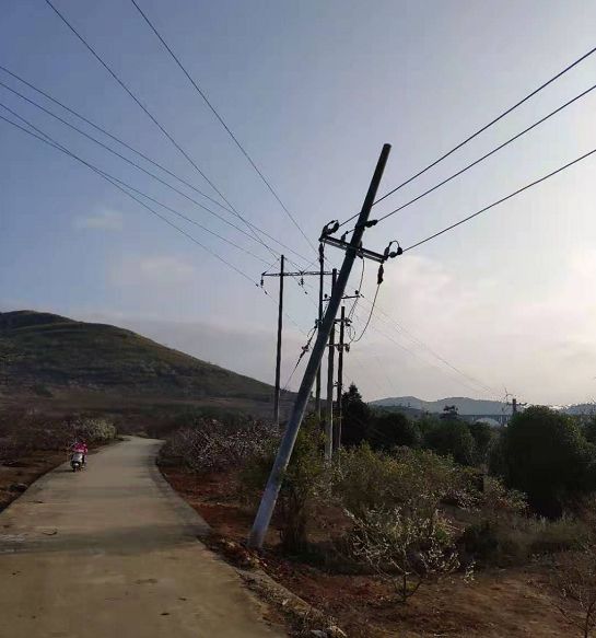 【恭城】西岭虎西公路旁一电线杆突然倒下,路人惊呆