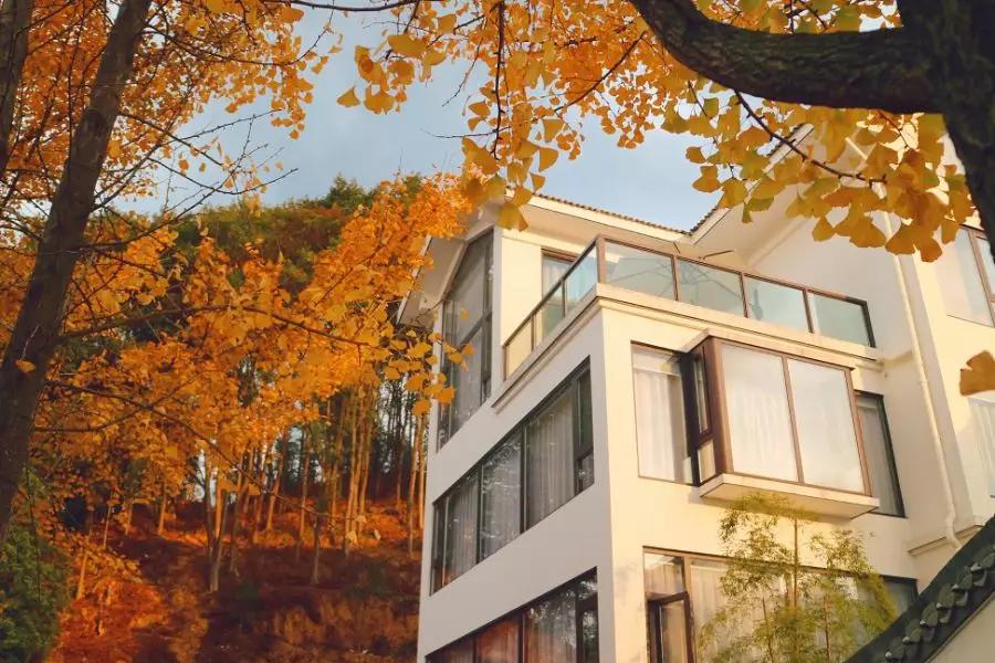 开化民宿表"白"名单2月12日民宿表"白"名单(点击图片可放大)2月13日