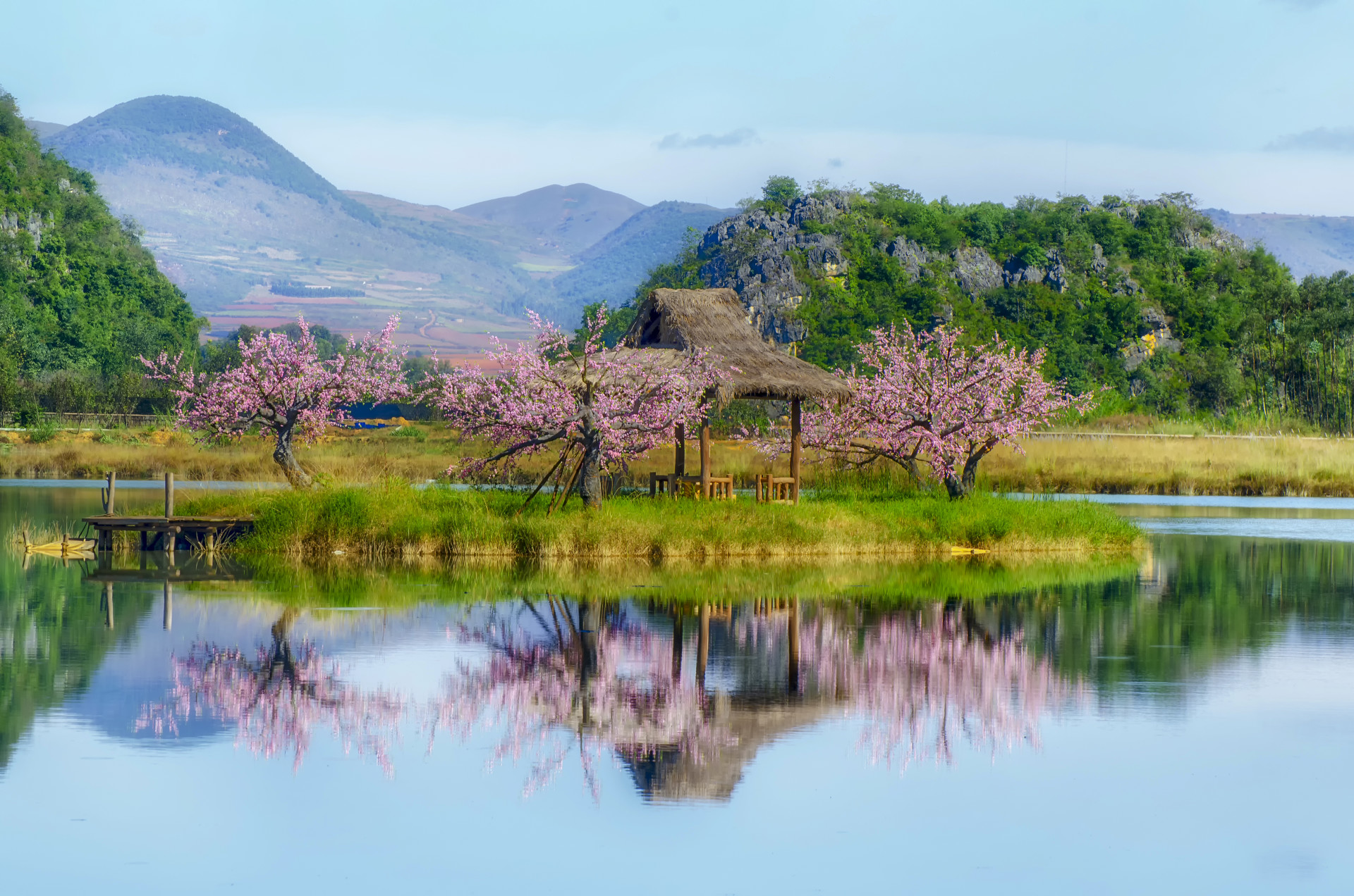 《三生三世枕上书,东华与凤九第二世里才是爱情最美的样子.》