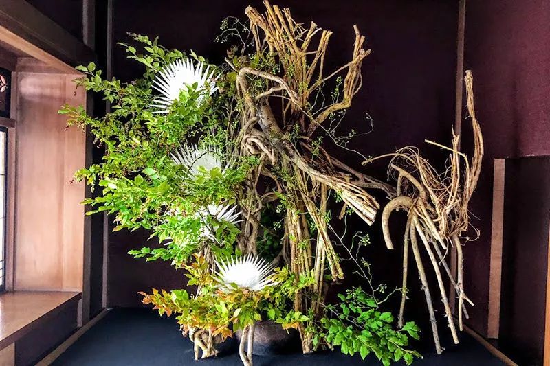 石原里美变身花道家追剧高岭之花海量作品图带你看嗨