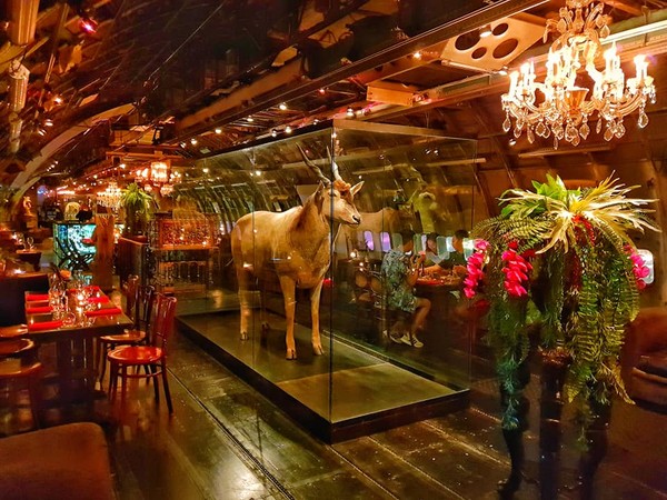 世界上最奇葩的餐厅,泰国清迈黑森林餐厅独树一帜_【泰国清迈自然公园】