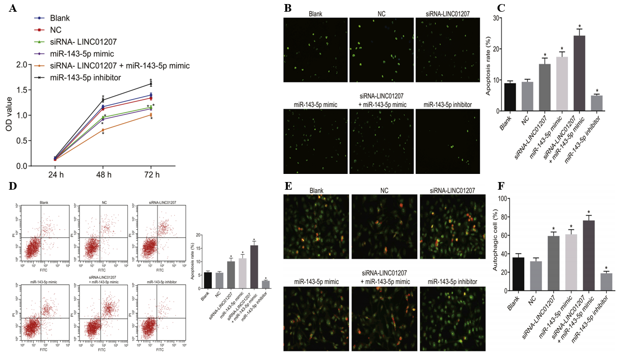 linc01207和mir1435p的竞争机制促进胰腺癌细胞的自噬和凋亡