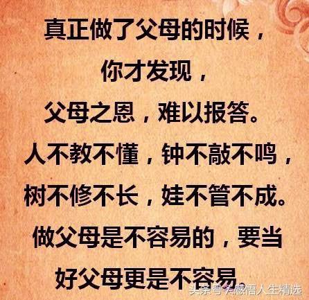 不养子不知父母恩