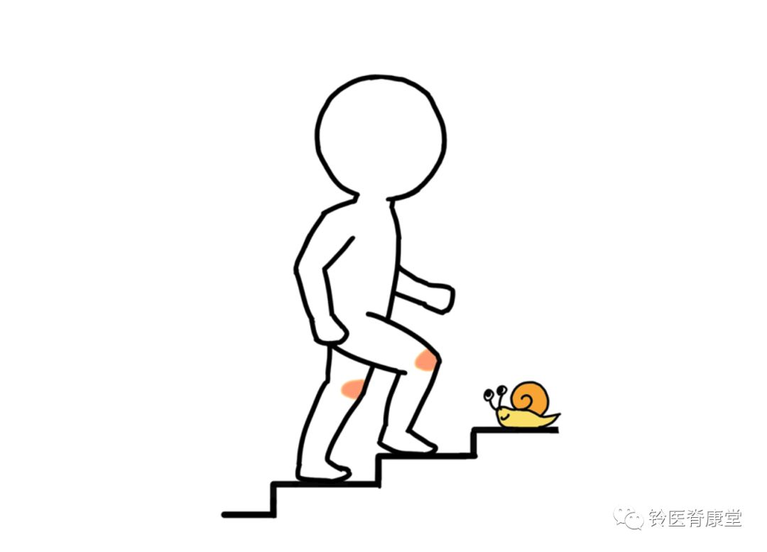 爬楼梯过程膝盖承重是体重的5倍,你还认为爬楼梯是减肥运动?