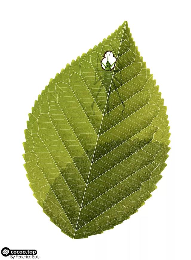 带你玩转色彩对比_纯度