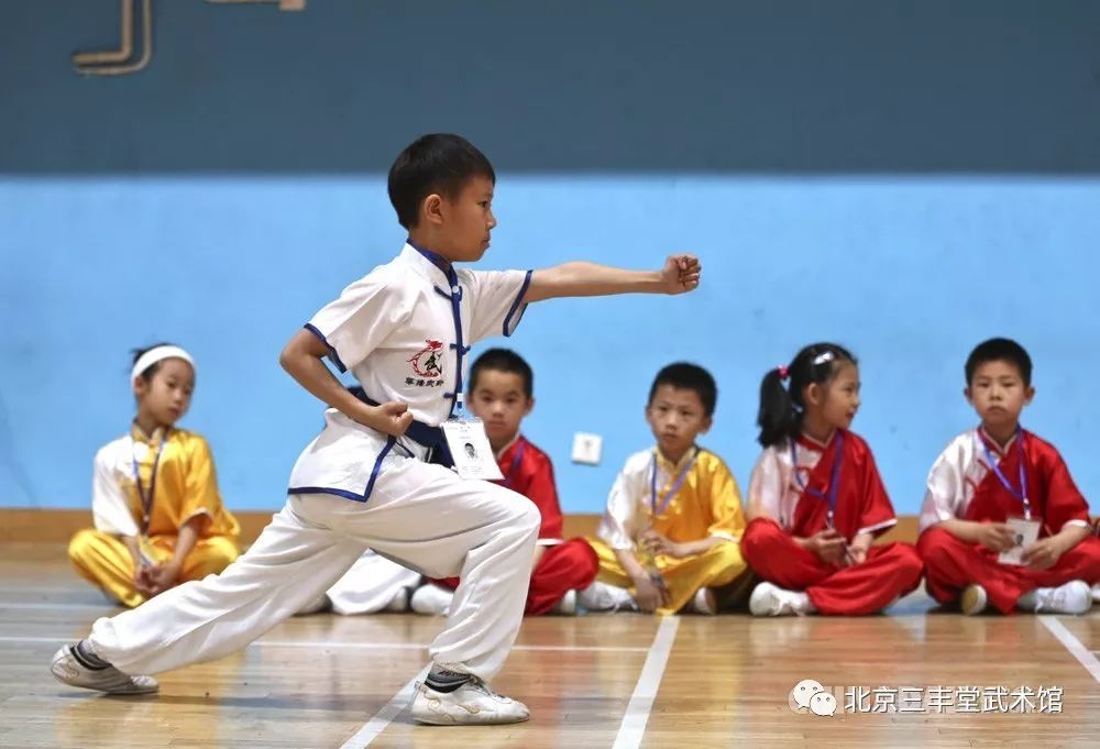 小孩武术课（儿童武术课程）《小孩武术教学视频》