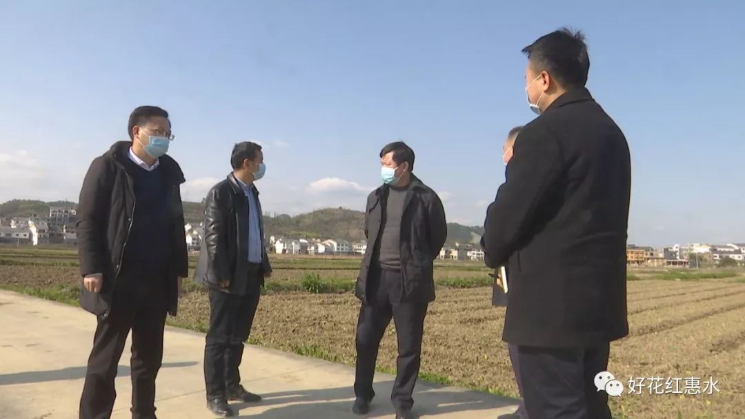 【一手抓抗疫 一手抓生产】万庆华深入基层督导调研农村产业革命推进