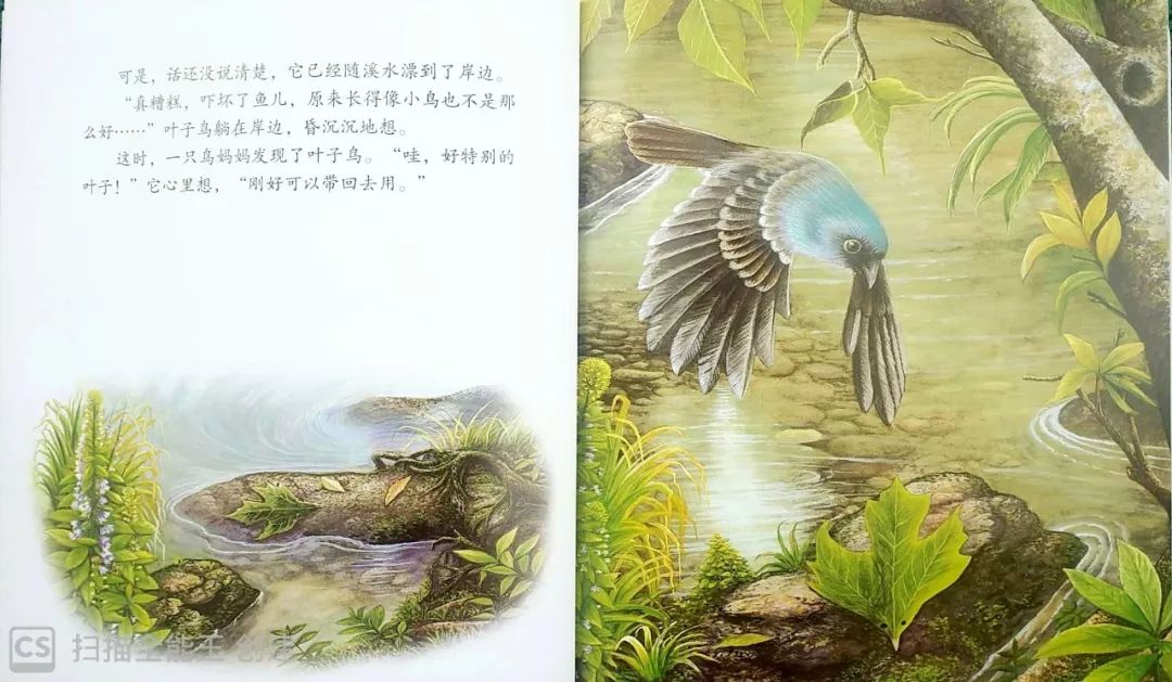 【绘本故事▏石家庄市世纪宝贝教育集团绘本故事分享「叶子鸟」