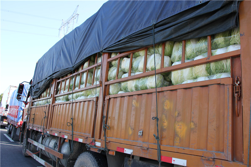 澧县籍企业家为麻城捐献10万斤蔬菜