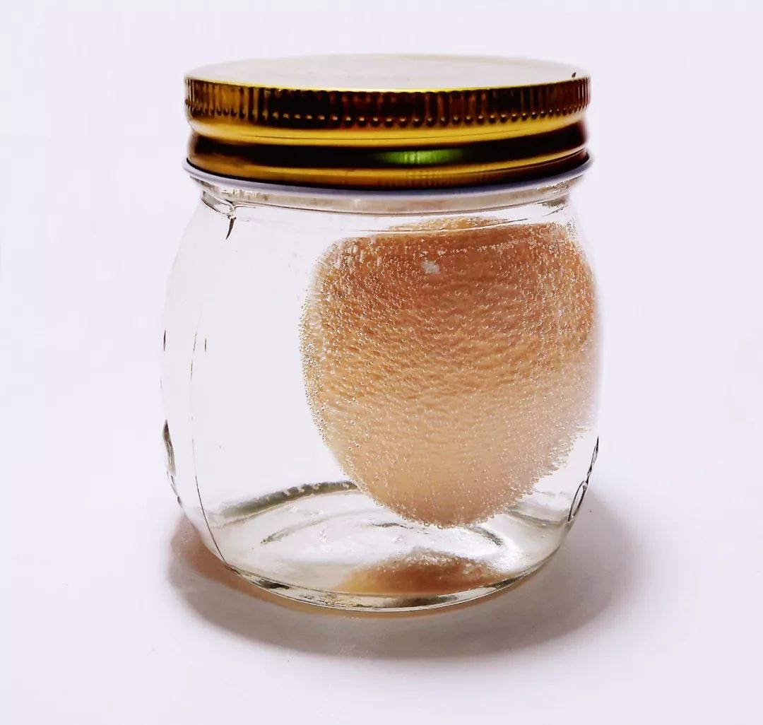 【阳光景幼】童心玩科学——每个孩子都是科学家_蛋壳