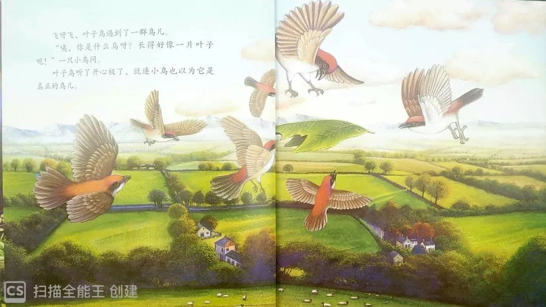 【绘本故事▏石家庄市世纪宝贝教育集团绘本故事分享「叶子鸟」