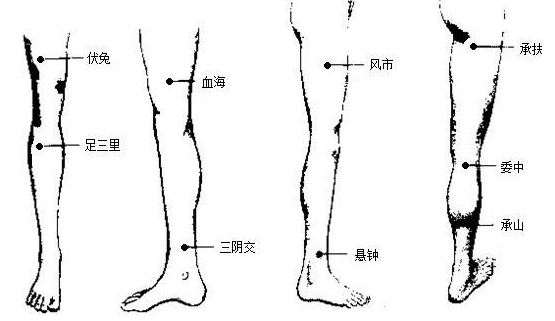 腰突腰肌勞損導致腰痛都源於腎虛冬季適合5種補腎法