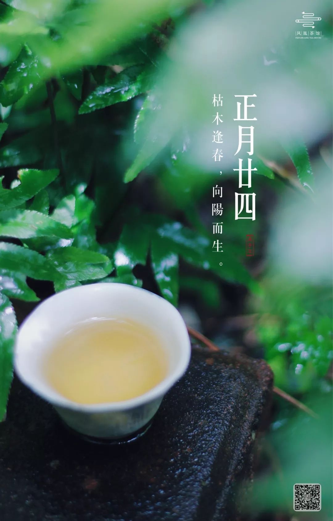 枯木逢春,向阳而生.