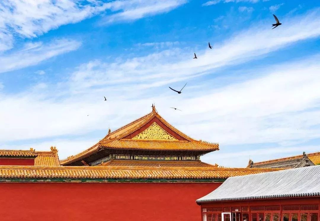 67东韵西渐中国故事听我说全球英语挑战赛建筑篇之故宫的秘密