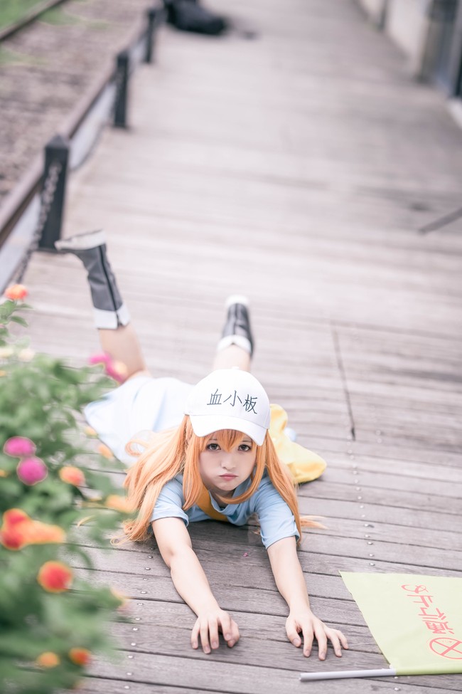 动漫《工作细胞》角色 血小板cosplay