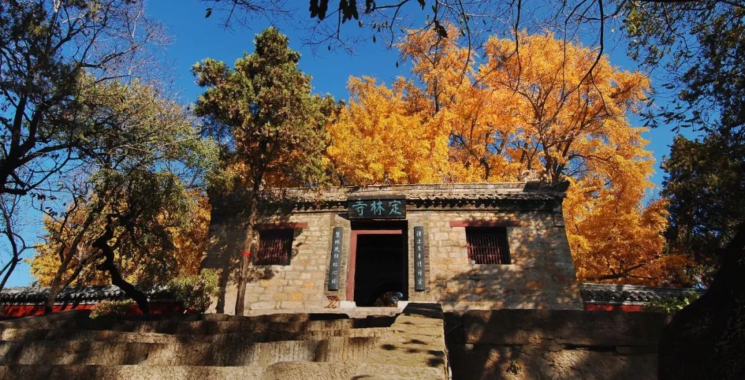 致敬最美逆行者莒县旅游景点向全国医护工作者免费开放