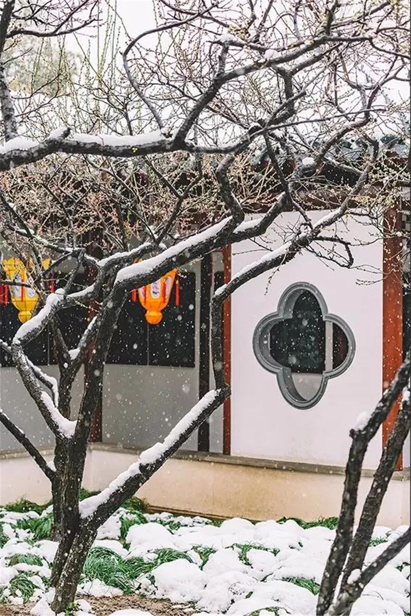 江南的雪景,更是赏心悦目,雪落于黛瓦青墙,旧庭深院.