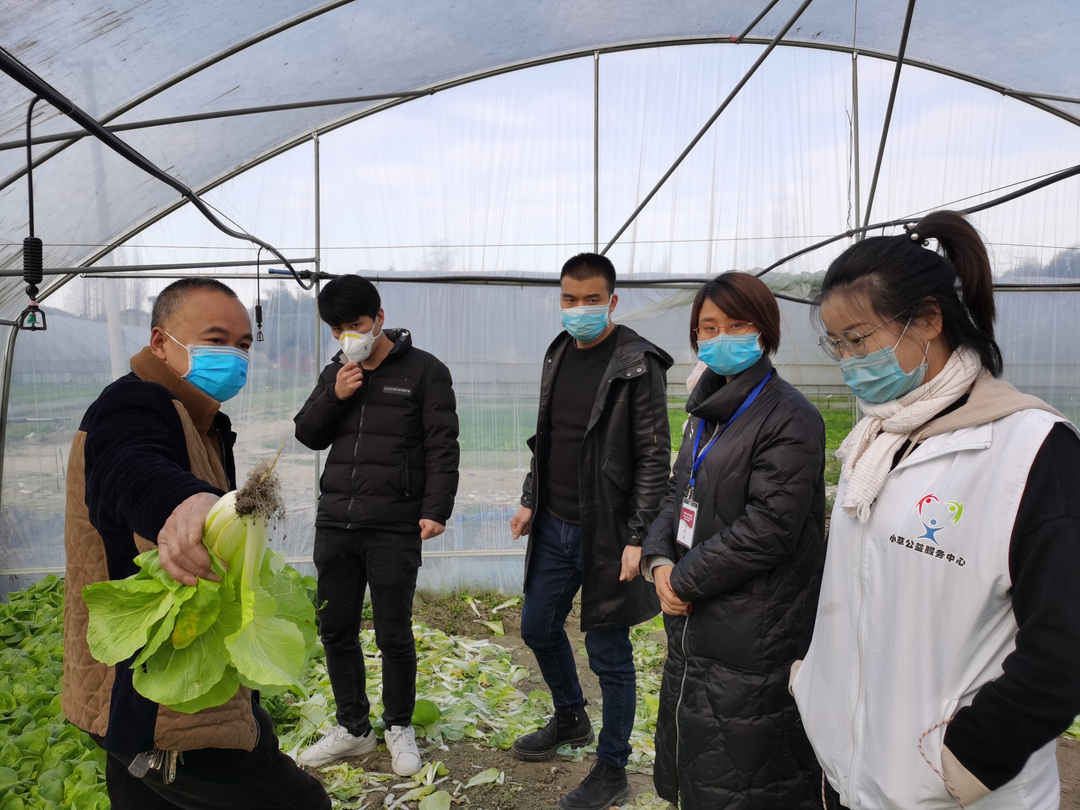 盒你一起戰疫助農阿里盒馬鮮生助力斑竹園農產品走出困境