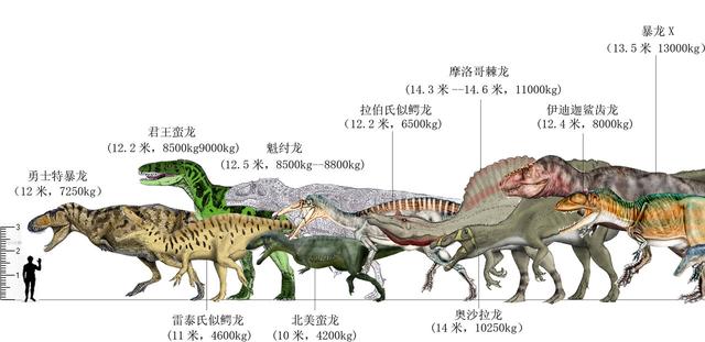 网友绘制各种古生物"合体图",比例鲜明,看看古生物谁大谁小_恐龙
