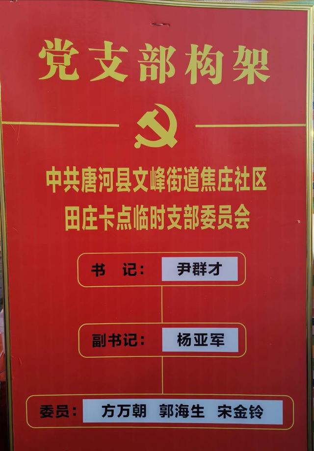 临时党支部图片图片