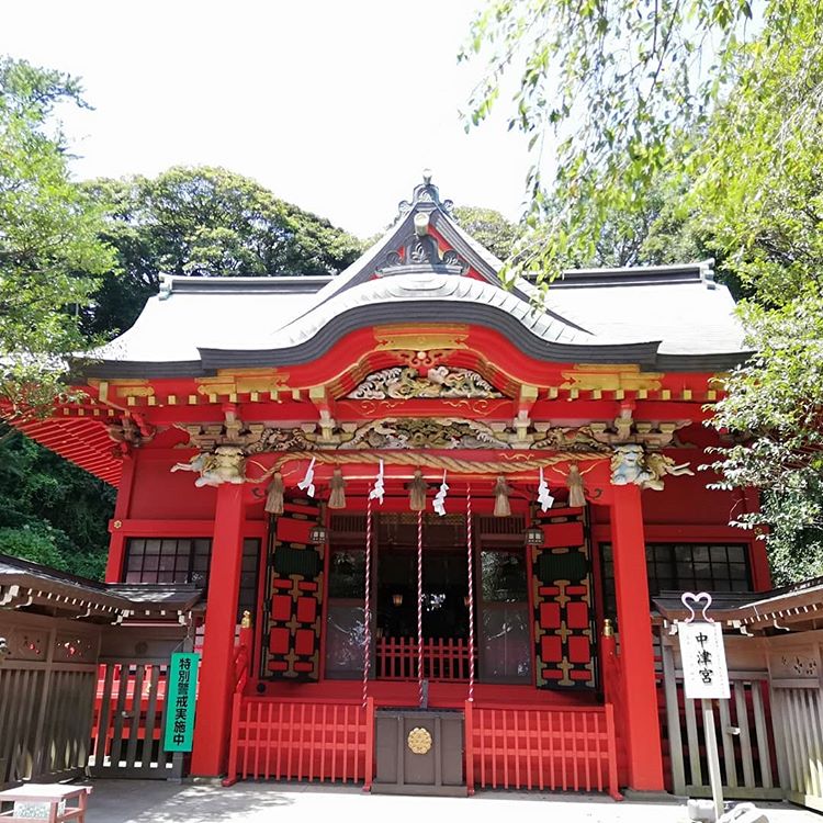 原创赐予美丽为猫祈福这些特殊的日本神社也许你会想专程前往