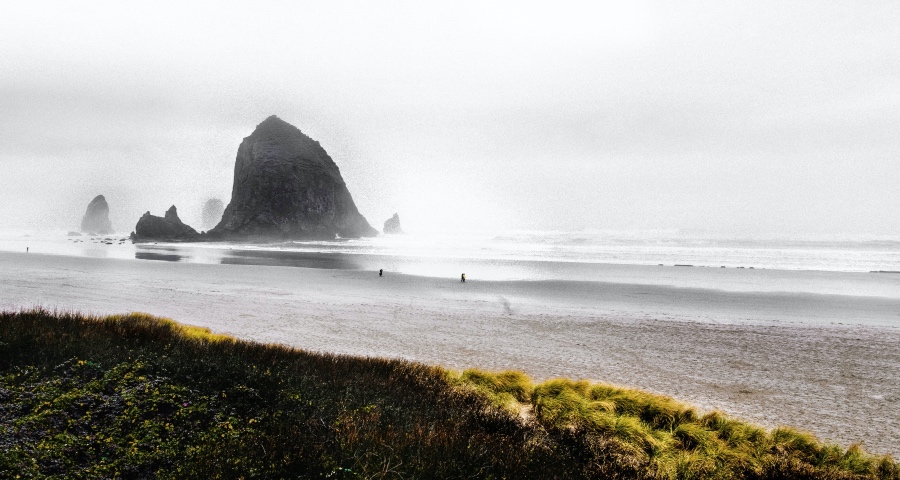 家电产业再迎发展新起点：中国家庭生活方式重构！-家电圈官网