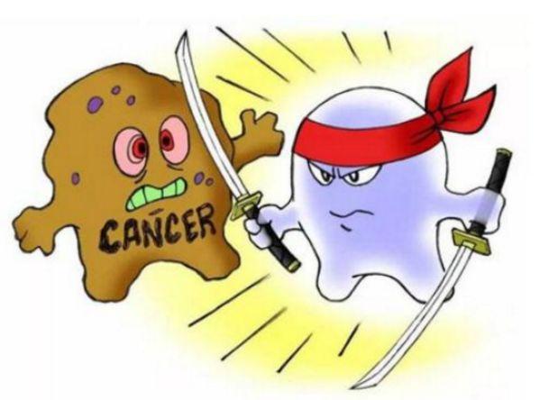 新的抗肿瘤方法和抗肿瘤药物不断出现,随着医学技术的不断发展,一直是