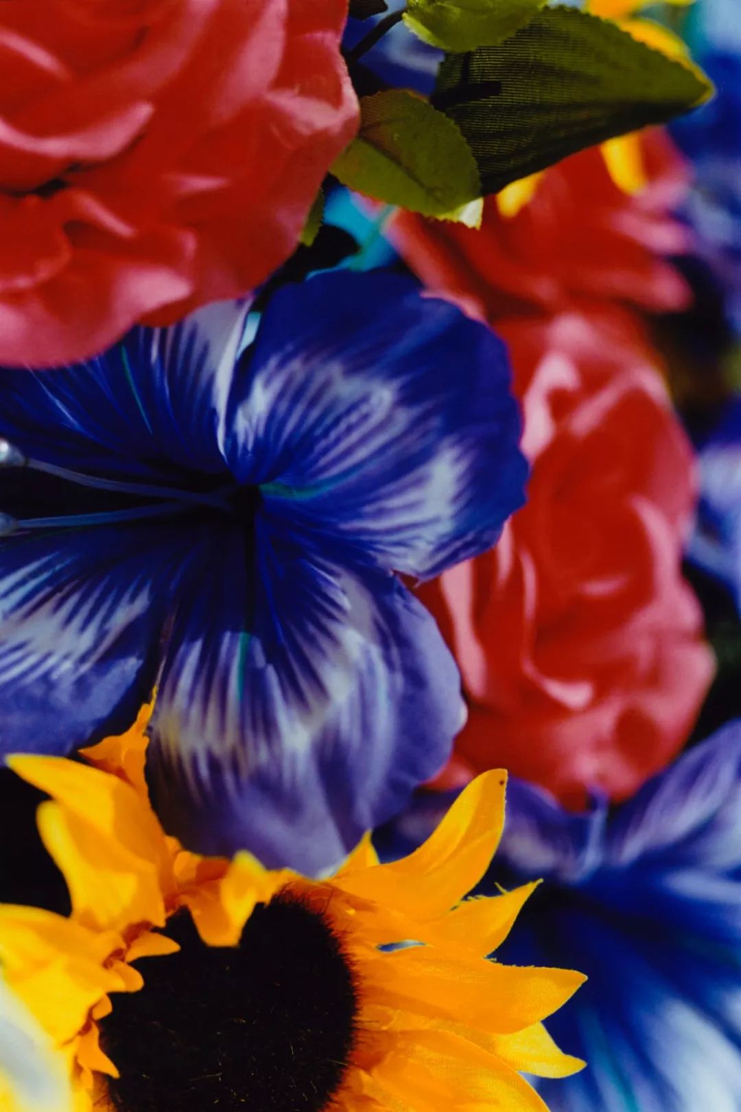 蜷川实花:打破欲望,回归真实