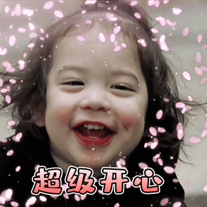 语言无法表达我现在有多开心只有这组表情包才能表达我的心情