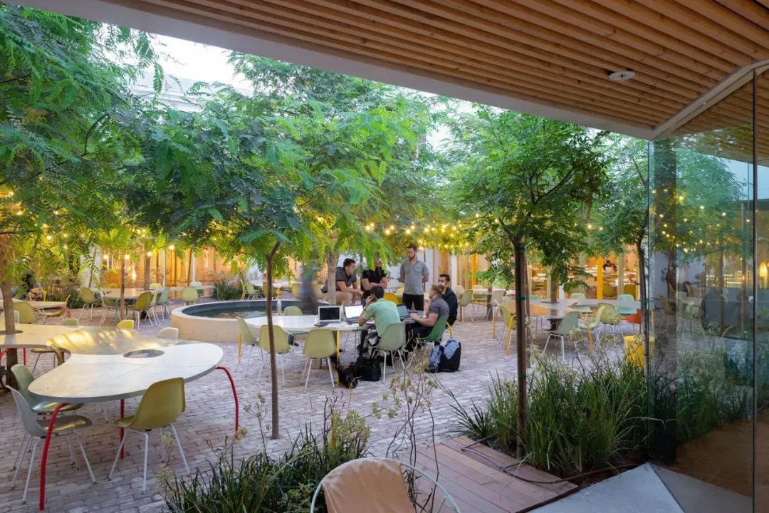 这才叫做花园式办公