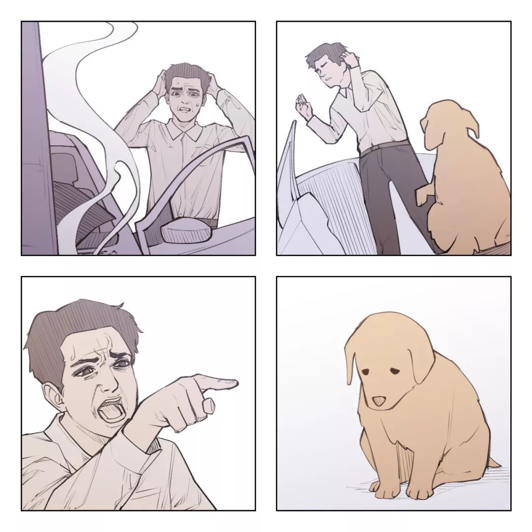 表情包背后居然还有这种故事!猜不到结尾,连开头都猜错了!_part