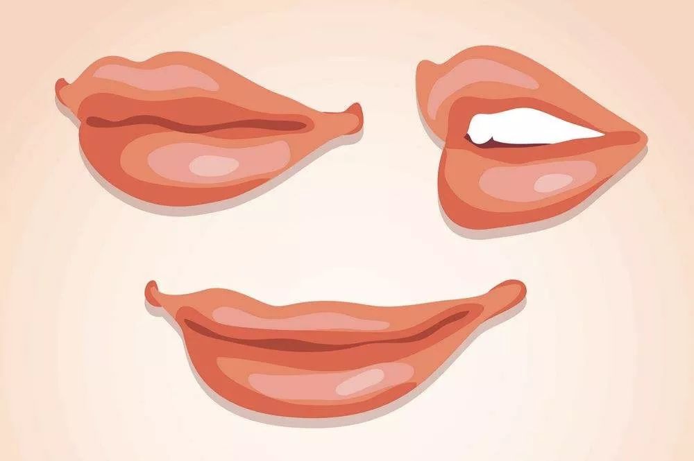 丫丫学语示范视频口部操训练二