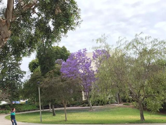 传媒艺术与科学学院,教育学院,工程学院,人类医学学院,詹姆斯·马迪森