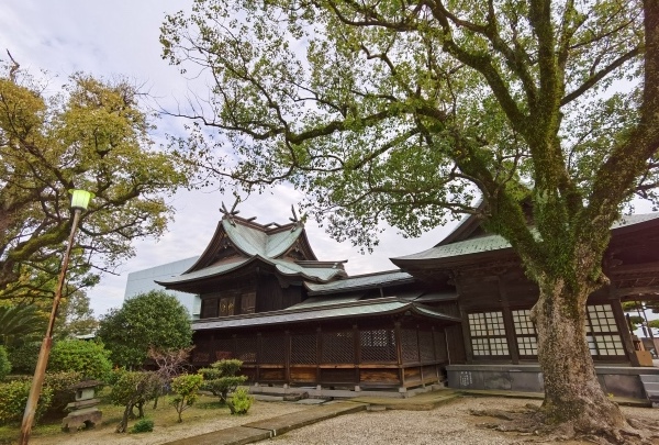 次日清晨去佐贺车站的路上,经过龙造寺八幡宫,就在普通居民社区里,要