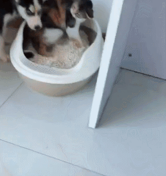 340_360gif 动态图 动图