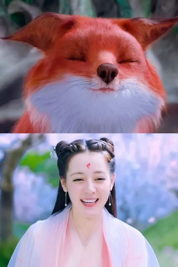 帝君对着狐狸说话,真身凤九会跑出来模仿狐狸的动作表情回应帝君,可太