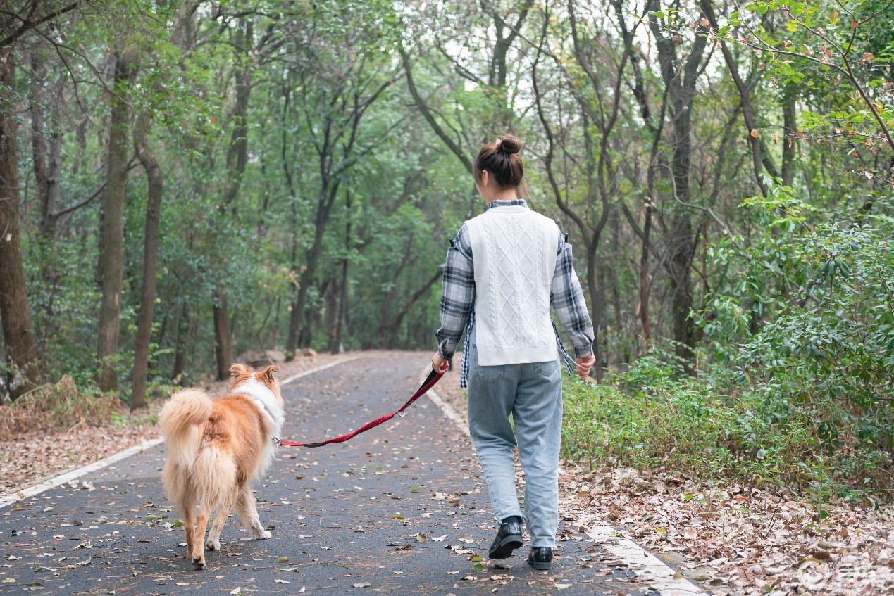 新远景suv女车主有车有狗这生活才有滋味