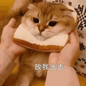 300_300gif 动态图 动图